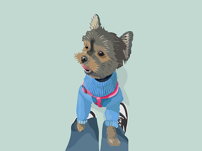 Yorkshire Terrier, named Niki design graphic design illustration logo ui vector visual