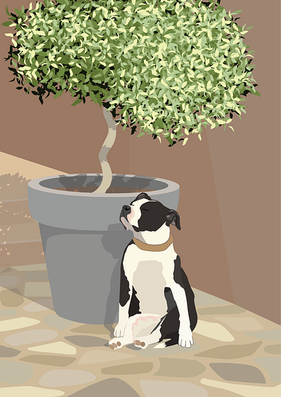 Neighbour's dog Milka enjoys sun design graphic design illustration ui vector visual