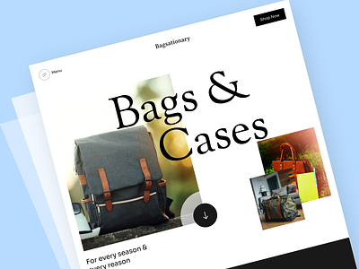 Bags & Cases Website UI Design app daily ui design ui ui design uiinspiration uiux ux