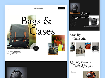 Bags & Cases Website UI Design app daily ui design ui ui design uiinspiration uiux ux