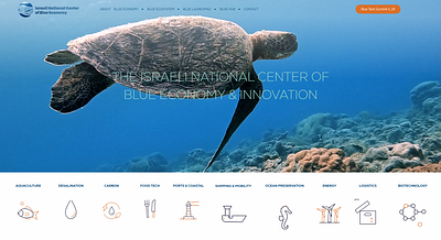 The Israeli National Center of Blue Economy & Innovation branding design economy environment seo website