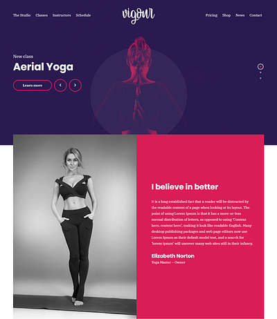 Gym Website Design branding dropshipping elementor elementor design figma landing page design landing pages logo shopify shopify store shopify website design ui ui ux web design website design wix wordpress wordpress website wordpress website design