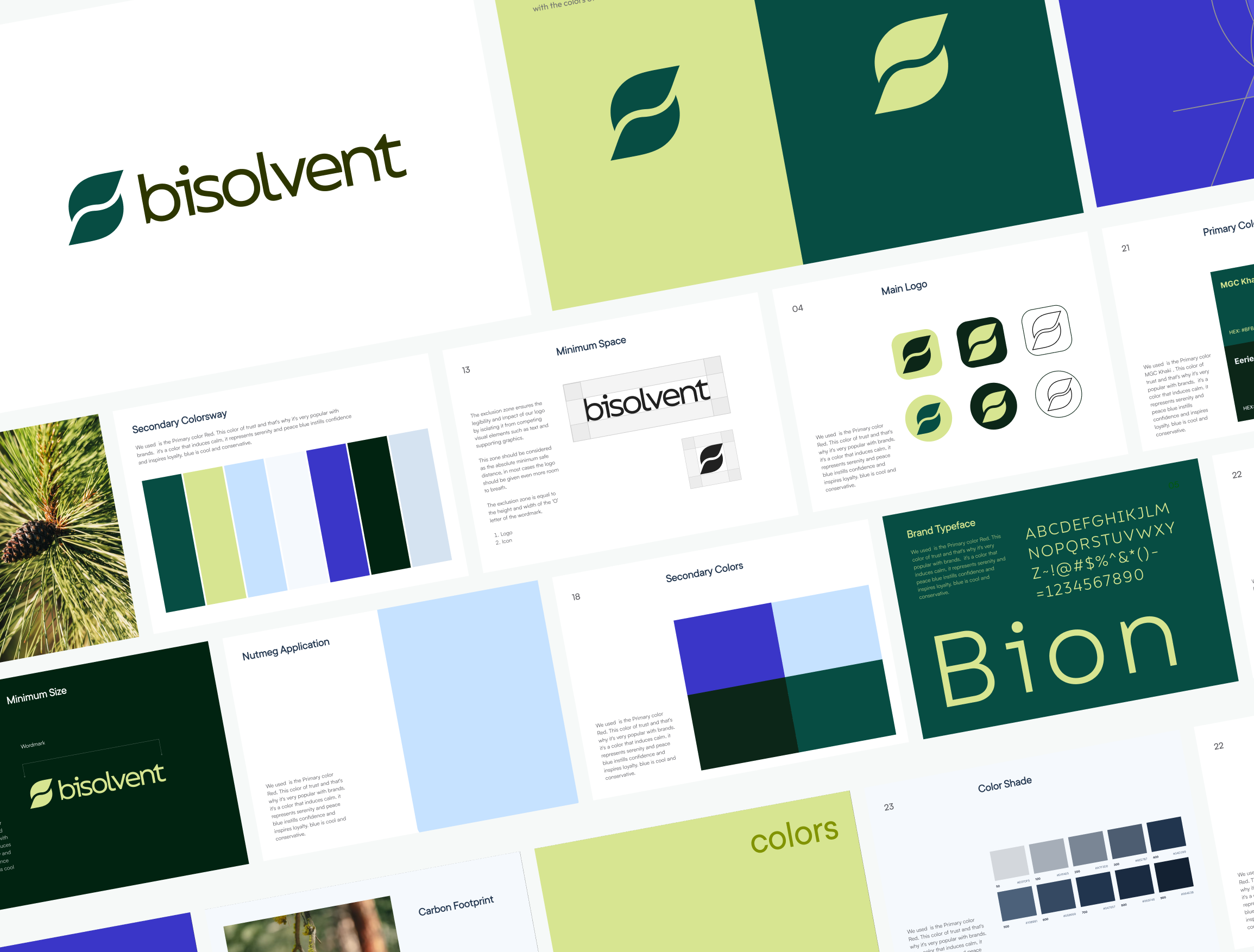 Example of Full Branding Identity Design