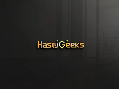 Hasty Geeks copmany logo branding logohexa