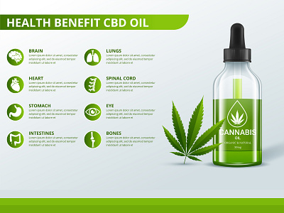 Health Benefit CBD Oil Infographic brain oil health health benefit infographic oil