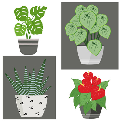 Vector illustration of indoor plants