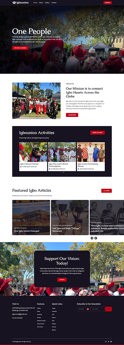 IgboUnion NGO Website cooperate website creative website ngo ui web design