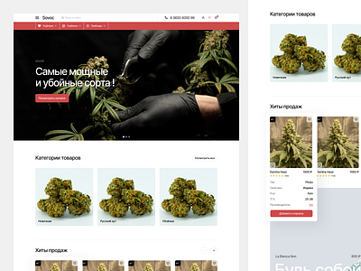 E-commerce the sale of cannabis seeds creative process