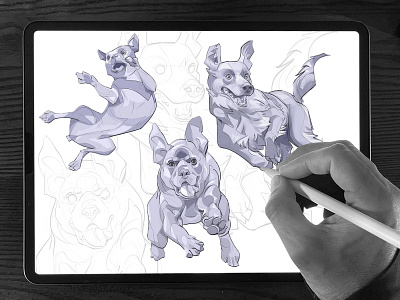 Dynamic Dogs - Illustration Process 🐾 animal pose chiaroscuro dog pose dogs drawing workflow illustration illustration process illustration step by step pet procreate tutorial