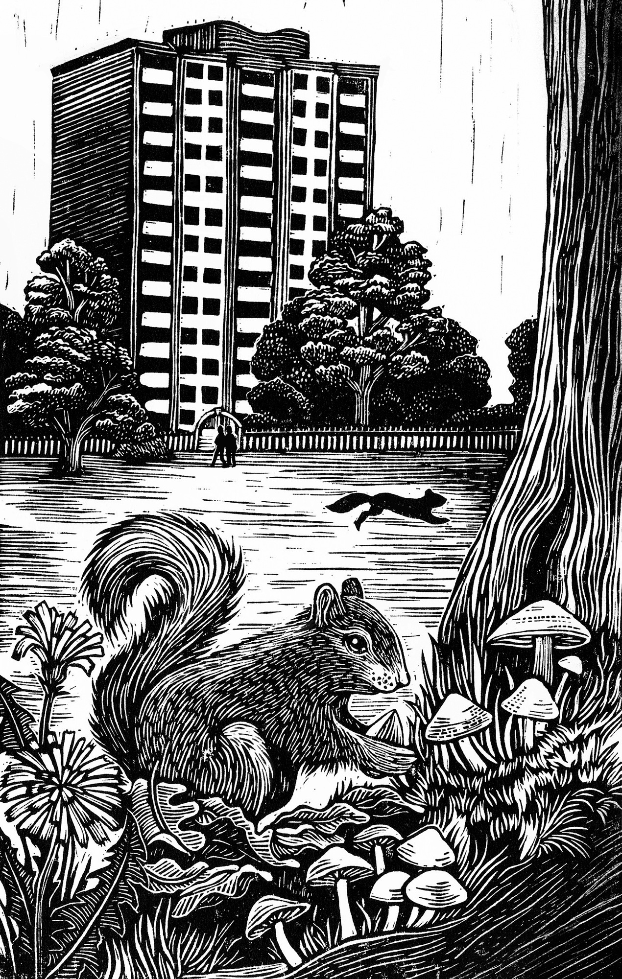 The Stubborn Light of Things 2d animal autumn book bw drawn illustration joanna lisowiec line lino cut nature print publishing wildlife