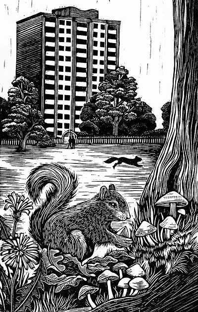 The Stubborn Light of Things 2d animal autumn book bw drawn illustration joanna lisowiec line lino cut nature print publishing wildlife