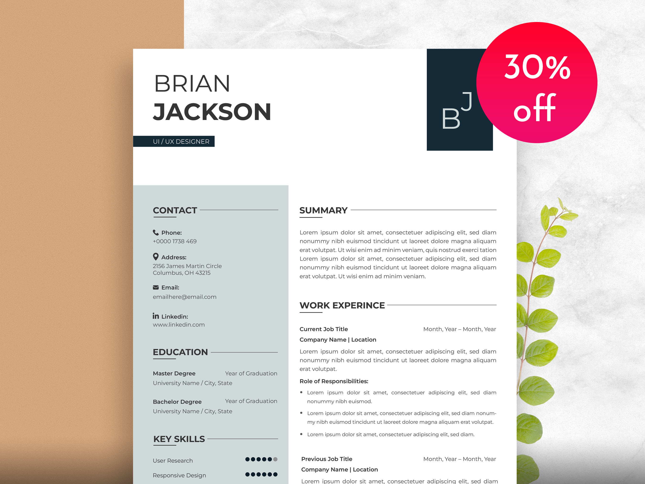 Example of Professional Resume Design Service