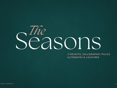 The Seasons Serif Font Family calligraphy chic classic classy clean contemporary corporate deco elegant expensive family fashion feminine french handwritten the seasons serif font family