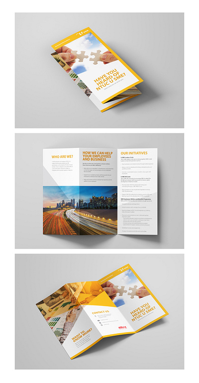 DL size 6pp brochure branding brochure design graphic design