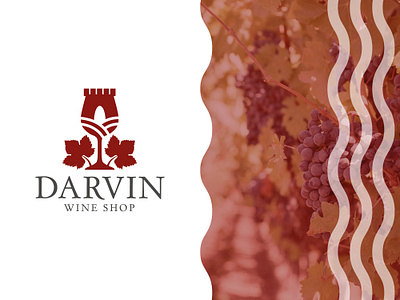 Darvin Wine Shop Unused Logo Concept branding design logo logodesign vector