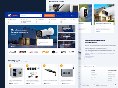 eCommerce Security Systems Store e commerce security store ui ux