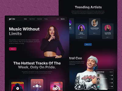 Pride - Music Streaming Platform. animation branding figma framer graphic design landing page logo ui uiux designer ux web design web designer