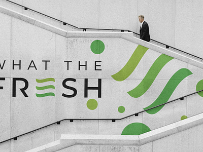 What the Fresh - Australian Business abubakker101 beranding brand cafe logo food logo fresh logo graphic design identity logobale saas