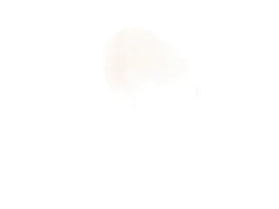 Свадебные макеты design graphic design illustration typography vector