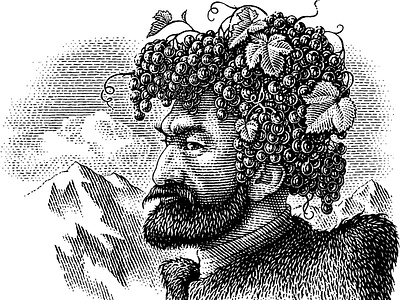 Grape black and white engraving illustration portrait scratchboard woodcut