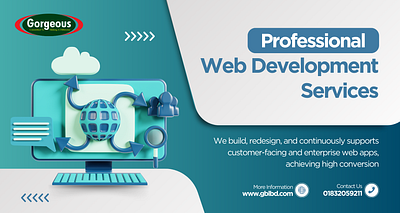 Web Development Service Facebook Ad