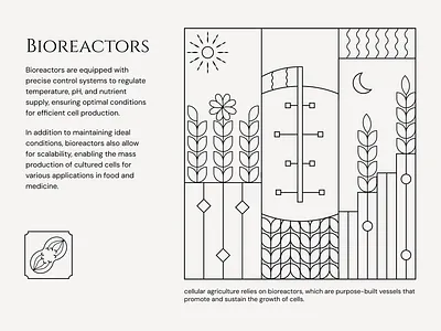 Cellular agriculture inspired illustration adobe illustrator art deco figma graphic design illustration poster