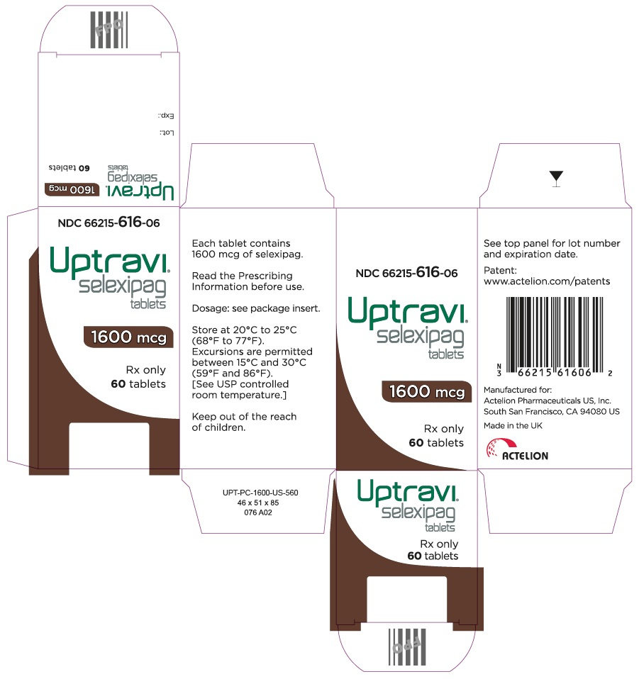 Pharma Artwork carton Box Design by CG DESIGN 64 (Product Design, Pouch