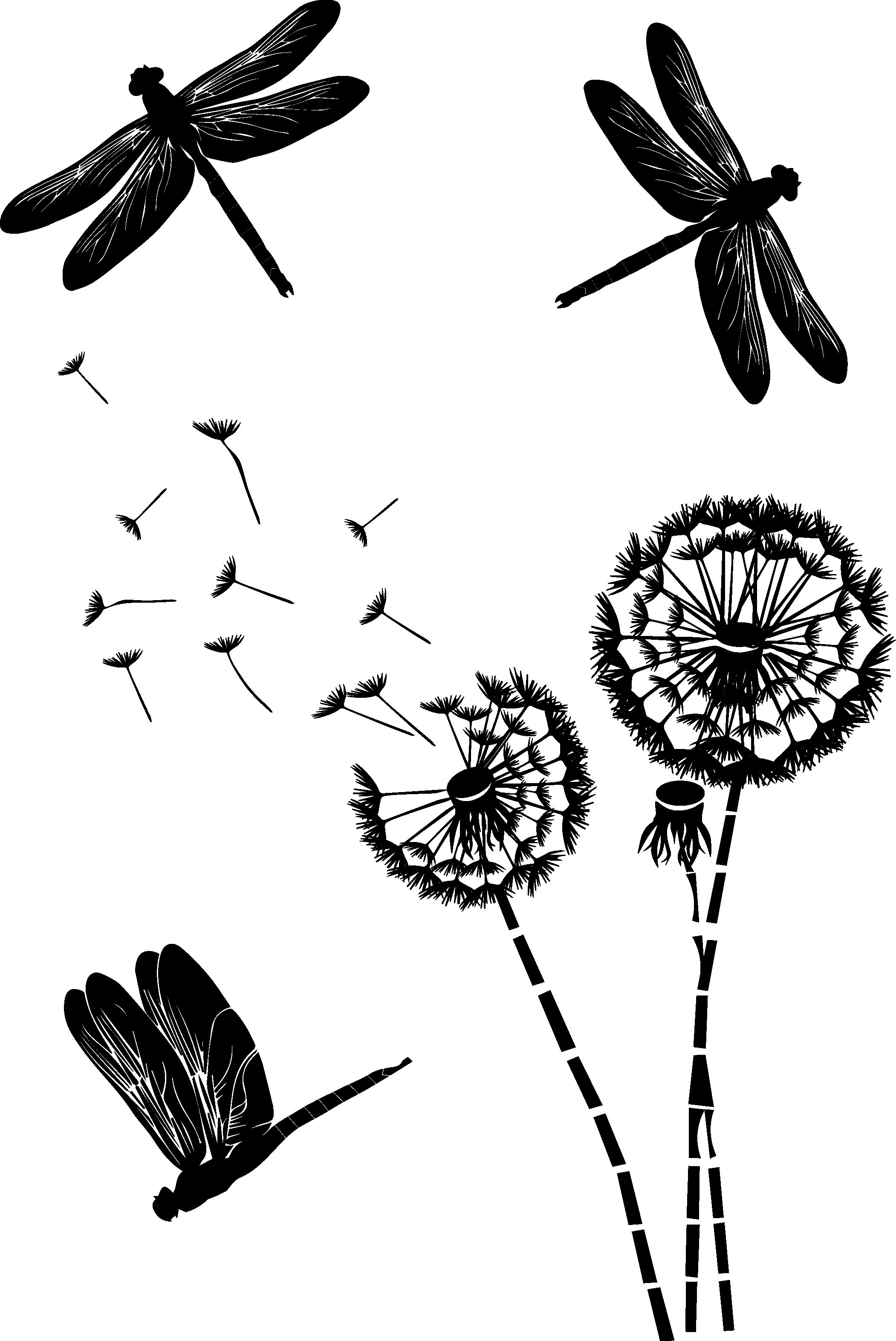 Dandelions blooming botanical dandelions dragonflies floral flying dragonfly greenery illustration insect minimal natural beauty nature outdoor summer vector vector illustration