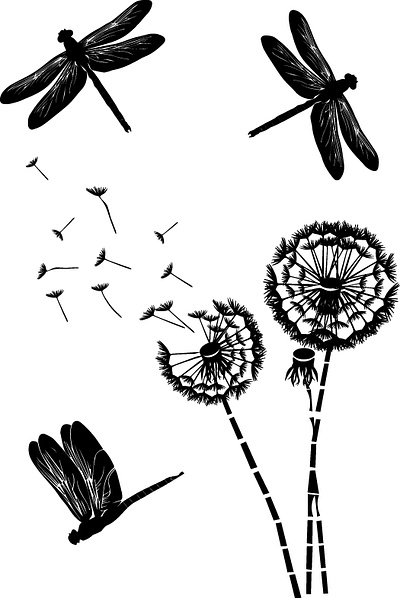 Dandelions blooming botanical dandelions dragonflies floral flying dragonfly greenery illustration insect minimal natural beauty nature outdoor summer vector vector illustration