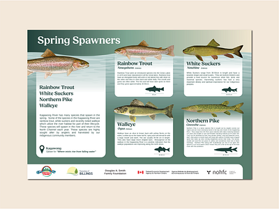 Educational Signage canada educational infographic interpretive signs invasive species manitoulin island northern ontario rivers stream restoration streams