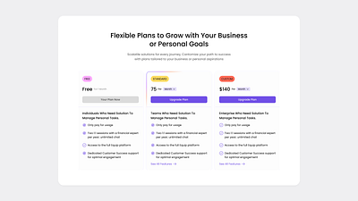 Pricing Section for Project Management UI landing page pricing section ui