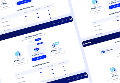 Subscription Plan Selection Design branding graphic design product design subscription ui ux