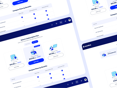 Subscription Plan Selection Design branding graphic design product design subscription ui ux