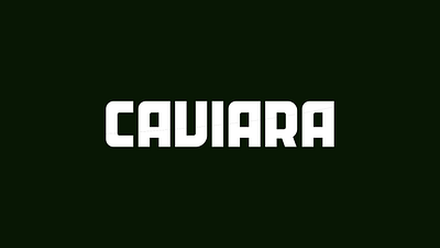 Caviara Display Font bold font branding font clean type creative font cyrillic font display font elegant font font design header logo font modern font multilingual font simple type title type кириллица шрифт