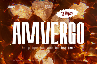 Amvergo Modern & Elegant Sans Serif Family collection