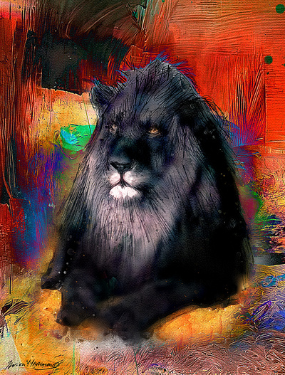 Lion noir