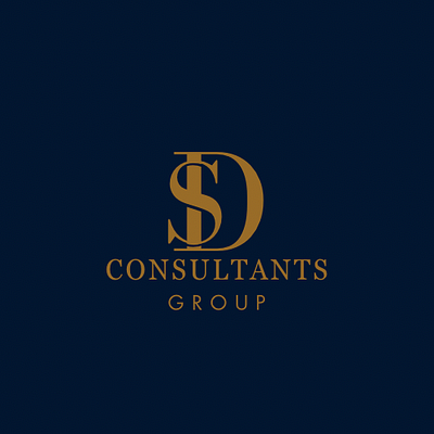 SD Consultants Group llc branding graphic design logo ui