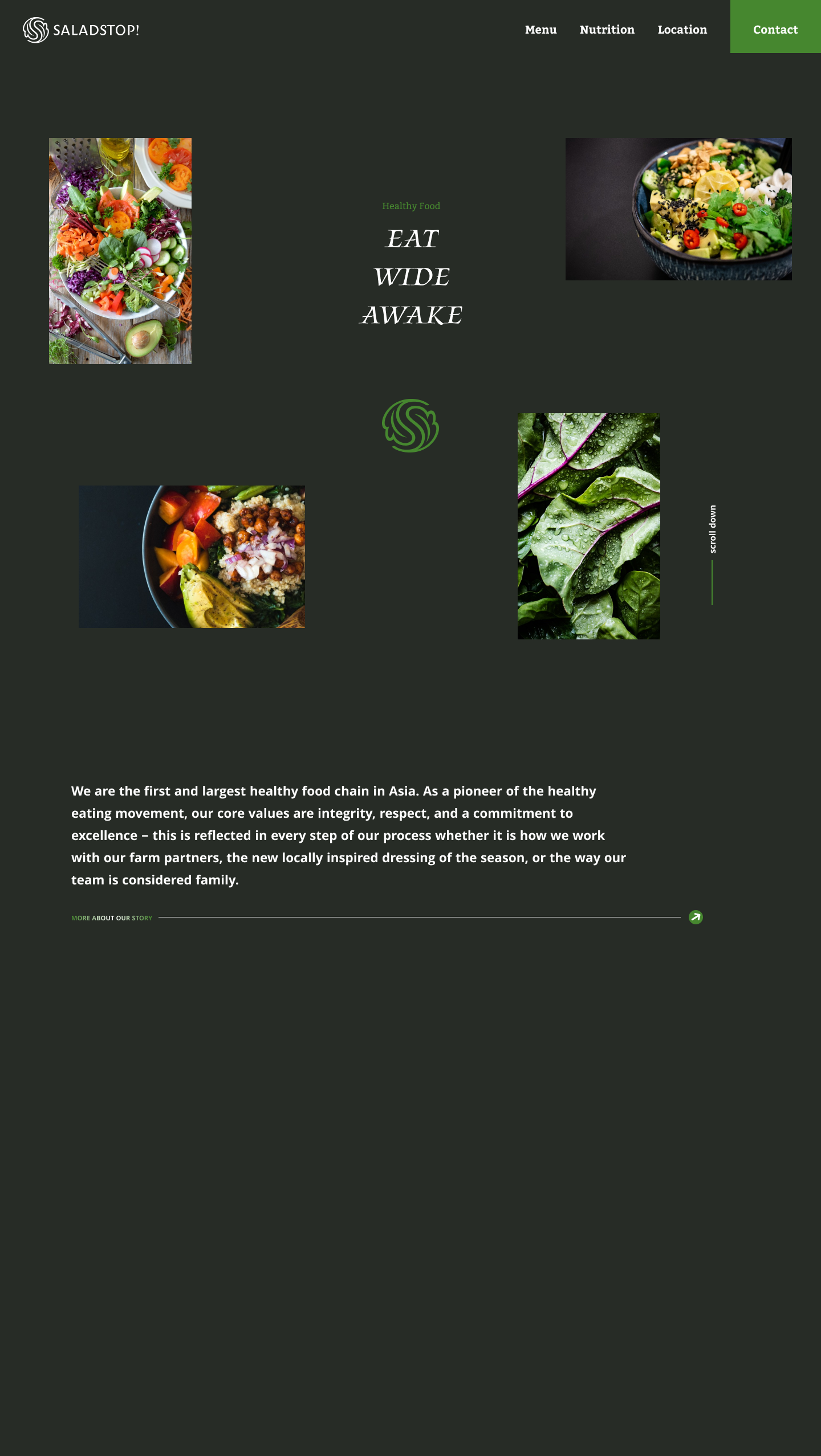 RECREATE SALADSTOP WEBSITE design ui ux website