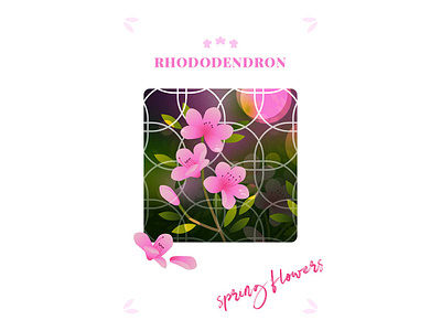 Rhododendron flower illustration spring flowers