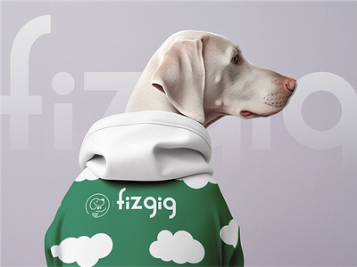 Fizgig - Branding linkedin