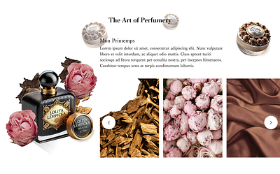 The Art of Perfumery art design design perfume ecommerce ecommerce design graphic design illustration landing page logo lolita lempicka motion graphics perfume redesign typography ui ui ux design user interface ux website