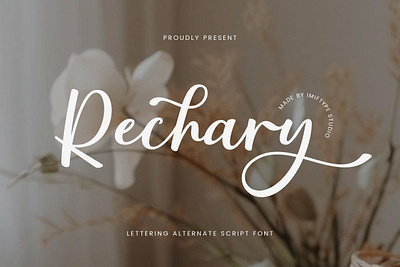 Rechary - Aesthetic Elegant Font alphabet calligraphy design display font elegant font fonts handwriting