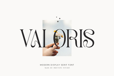 Valoris – Modern Display Serif Font alphabet calligraphy design display font elegant font fonts handwriting handwritten font lettering script script font signature typography