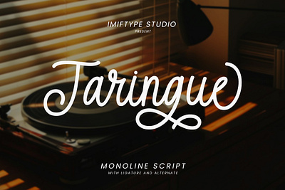 Taringue – Monoline Script Font alphabet calligraphy design display font elegant font fonts handwriting handwritten font lettering script script font signature typography