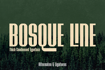 Bosque Line Font alternate banner condensed display font ligature