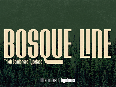 Bosque Line Font alternate banner condensed display font ligature