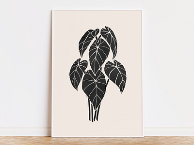 Alocasia Black Velvet Art ida rezaee