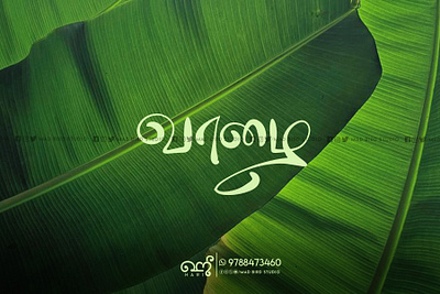 Vaazhai | Tamil Typography | Title Design branding creative design graphic design handmade illustration logo movie tamil tamiltypography titledesign ui vaazhai