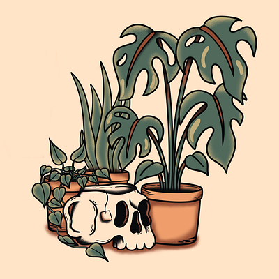 Tea & Plants design graphic design illustration procreate