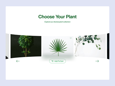 Carousel UI design for a plant market place #ChooseYourPlant 🌱 carousel carouseldesign diverse green minimal plant sleek ui